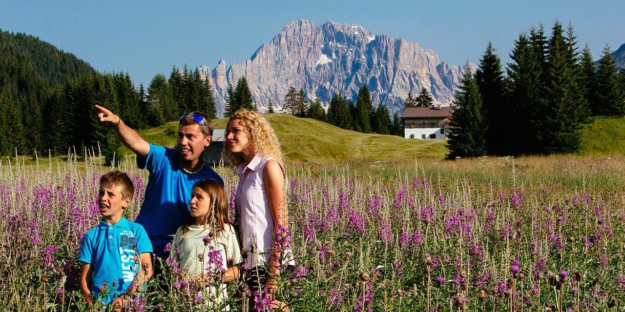 Casa Alpina Sacro Cuore Canale dʼAgordo Extérieur photo